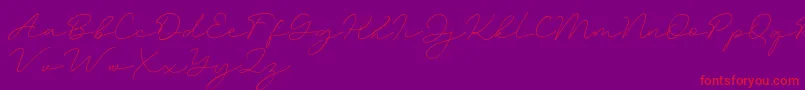 Amalina-Schriftart – Rote Schriften auf violettem Hintergrund