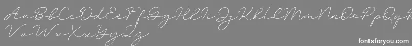 Amalina-Schriftart – Weiße Schriften auf grauem Hintergrund