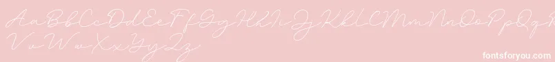 Amalina Font – White Fonts on Pink Background