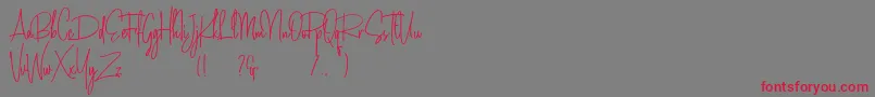 Amanda Santiago Demo-Schriftart – Rote Schriften auf grauem Hintergrund