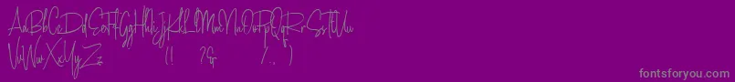 Amanda Santiago Demo-Schriftart – Graue Schriften auf violettem Hintergrund
