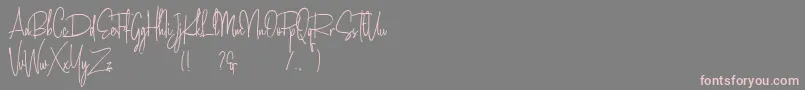 Amanda Santiago Demo Font – Pink Fonts on Gray Background