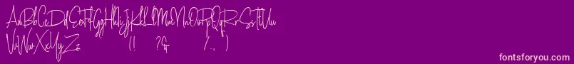 Amanda Santiago Demo Font – Pink Fonts on Purple Background