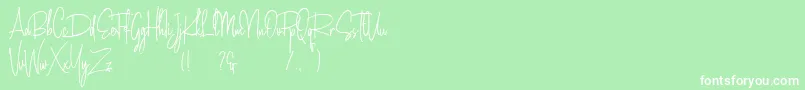 Amanda Santiago Demo Font – White Fonts on Green Background