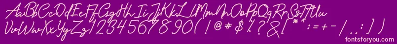amandasignature Font – Pink Fonts on Purple Background