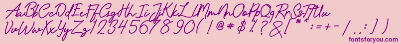 amandasignature Font – Purple Fonts on Pink Background