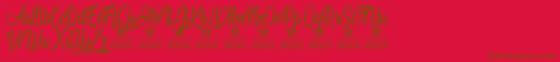 Amandita Personal Use Font – Brown Fonts on Red Background