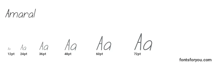 Размеры шрифта Amaral