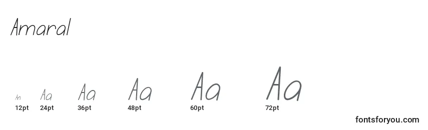 Размеры шрифта Amaral (119316)