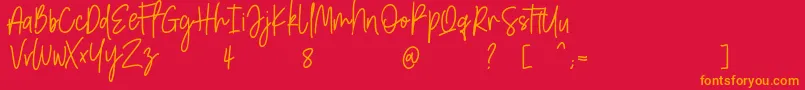 Amarilis ScriptFont Font – Orange Fonts on Red Background