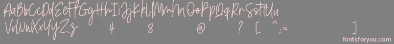 Amarilis ScriptFont Font – Pink Fonts on Gray Background