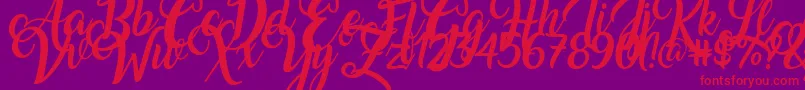 Amarillo Font – Red Fonts on Purple Background