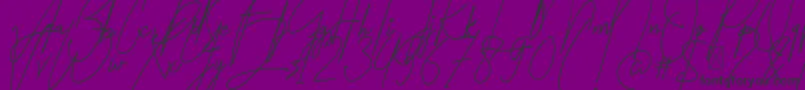 Amartans Signature Reguler Font – Black Fonts on Purple Background