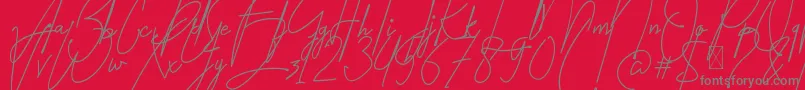 Amartans Signature Reguler Font – Gray Fonts on Red Background
