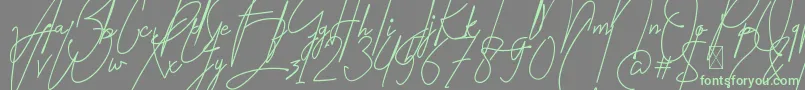 Amartans Signature Reguler-Schriftart – Grüne Schriften auf grauem Hintergrund