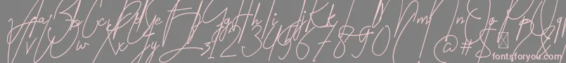 Amartans Signature Reguler-Schriftart – Rosa Schriften auf grauem Hintergrund
