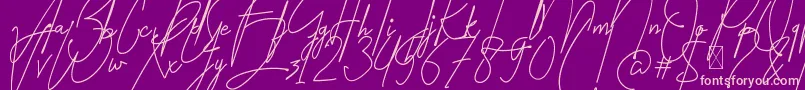 Amartans Signature Reguler Font – Pink Fonts on Purple Background