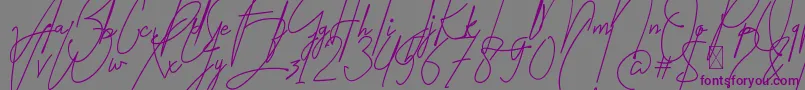 Amartans Signature Reguler Font – Purple Fonts on Gray Background