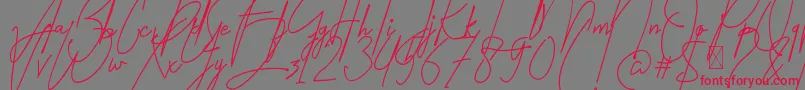フォントAmartans Signature Reguler – 赤い文字の灰色の背景