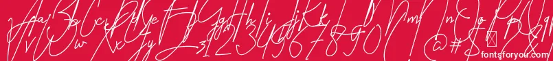 Amartans Signature Reguler Font – White Fonts on Red Background