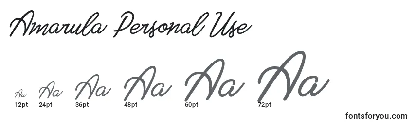Размеры шрифта Amarula Personal Use