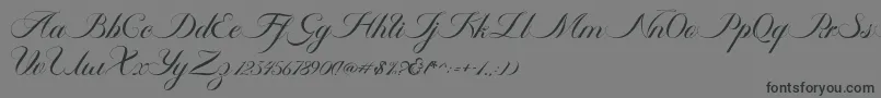 Ambergris Script Free Personal-fontti – mustat fontit harmaalla taustalla