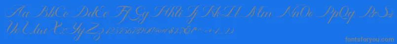 Czcionka Ambergris Script Free Personal – szare czcionki na niebieskim tle