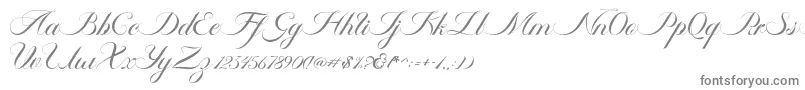 Czcionka Ambergris Script Free Personal – szare czcionki