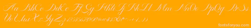 Fonte Ambergris Script Free Personal – fontes rosa em um fundo laranja
