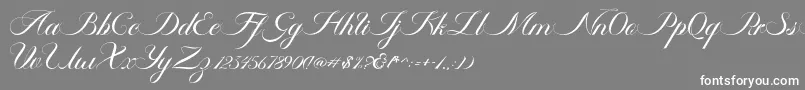 Ambergris Script Free Personal-Schriftart – Weiße Schriften auf grauem Hintergrund