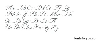 Police Ambergris Script Free Personal