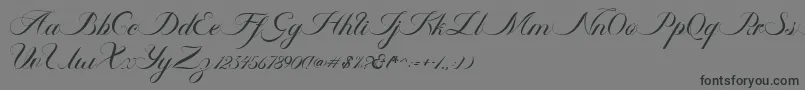 Ambergris Script Free Personal-Schriftart – Schwarze Schriften auf grauem Hintergrund