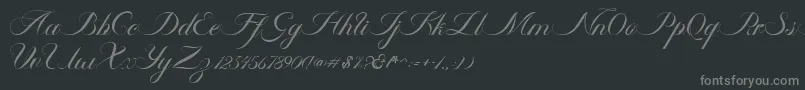 Ambergris Script Free Personal-Schriftart – Graue Schriften auf schwarzem Hintergrund