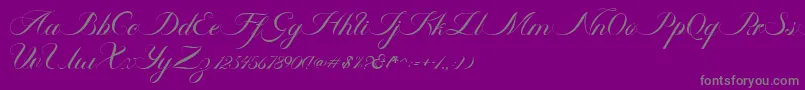 Ambergris Script Free Personal-Schriftart – Graue Schriften auf violettem Hintergrund