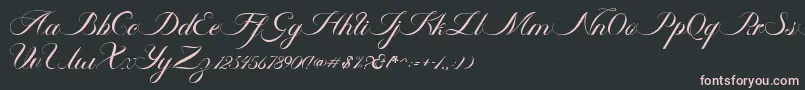 Ambergris Script Free Personal Font – Pink Fonts on Black Background