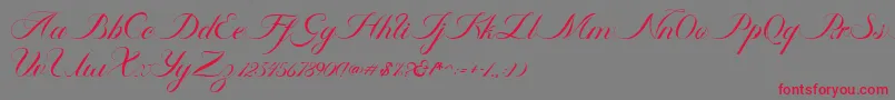 フォントAmbergris Script Free Personal – 赤い文字の灰色の背景