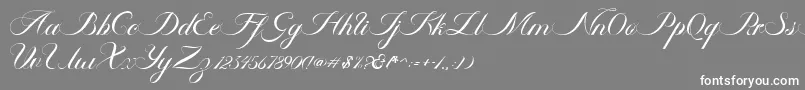 Ambergris Script Free Personal-Schriftart – Weiße Schriften auf grauem Hintergrund