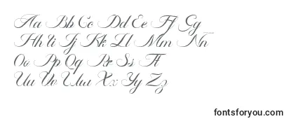 Police Ambergris Script Free Personal