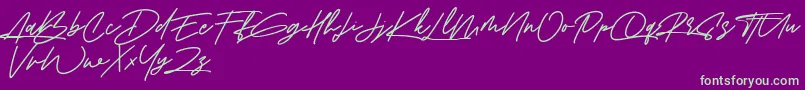 Amberla Free Font – Green Fonts on Purple Background