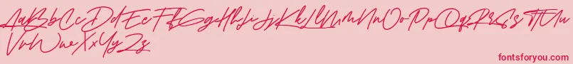 Amberla Free Font – Red Fonts on Pink Background