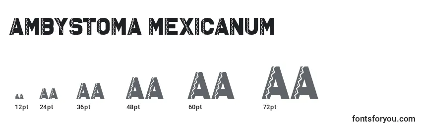 Tamanhos de fonte Ambystoma Mexicanum