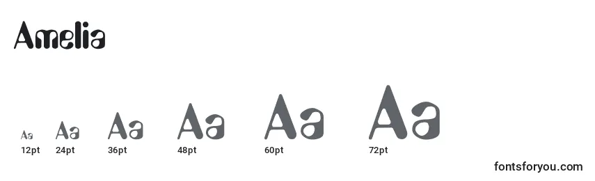 Размеры шрифта Amelia (119349)