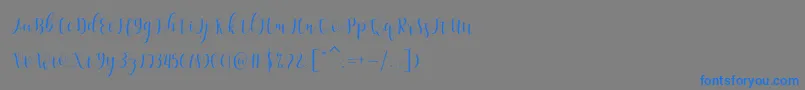 フォントAmelisa – 灰色の背景に青い文字