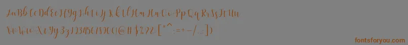 Amelisa Font – Brown Fonts on Gray Background