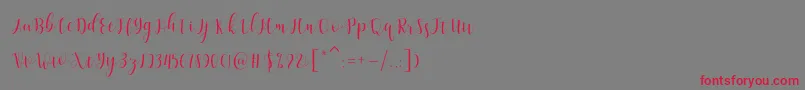 Amelisa Font – Red Fonts on Gray Background