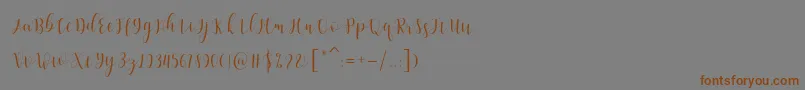 Amelisa Font – Brown Fonts on Gray Background