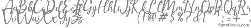 amellia-fontti – harmaat kirjasimet valkoisella taustalla