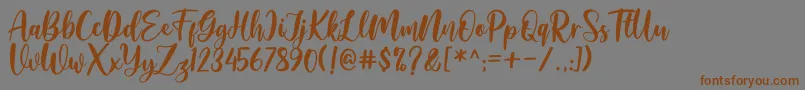 Amelya Font – Brown Fonts on Gray Background