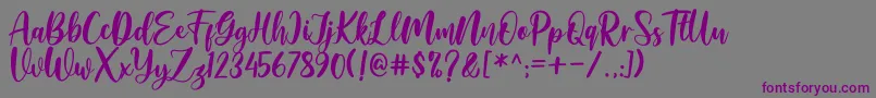 Amelya Font – Purple Fonts on Gray Background