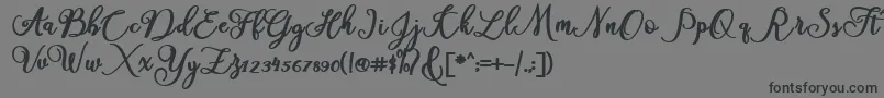 America Font – Black Fonts on Gray Background